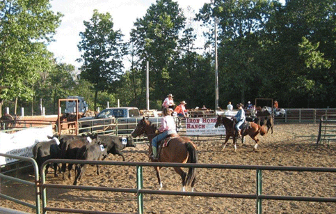 Ranch Sorting